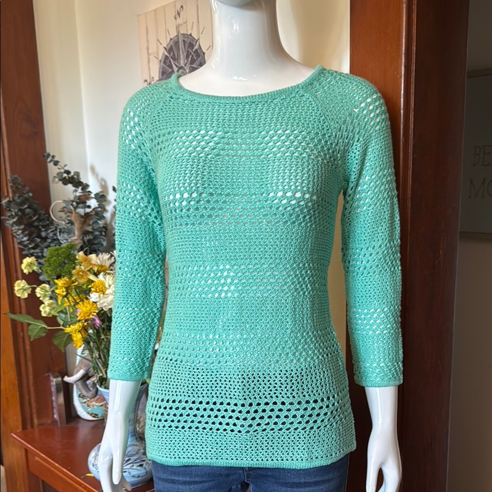 NWT northern reflections size small Mint Green Women's knit see-through Sweater
